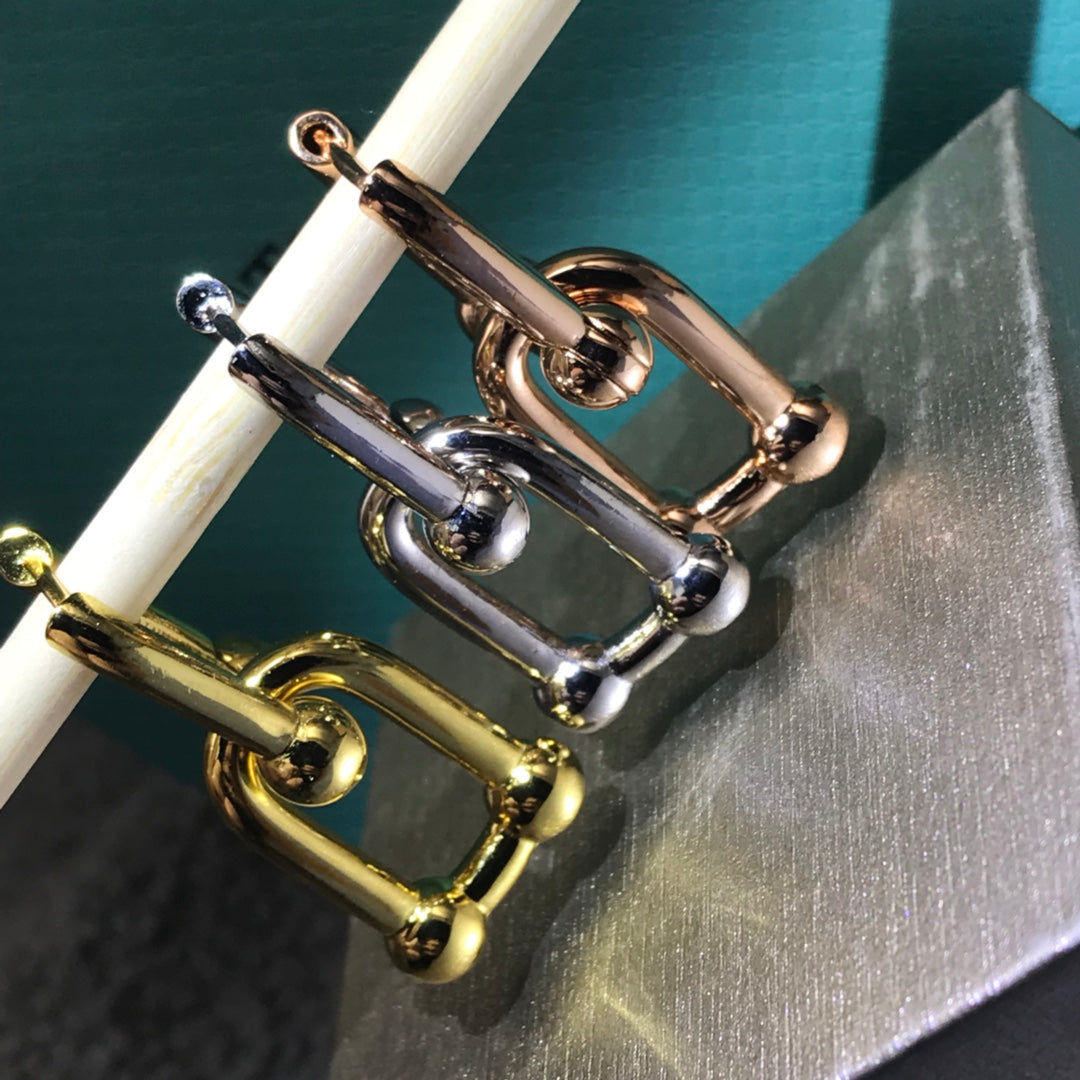 TIFFANY HARDWARE DROP EARRINGS DOUBLE LINK